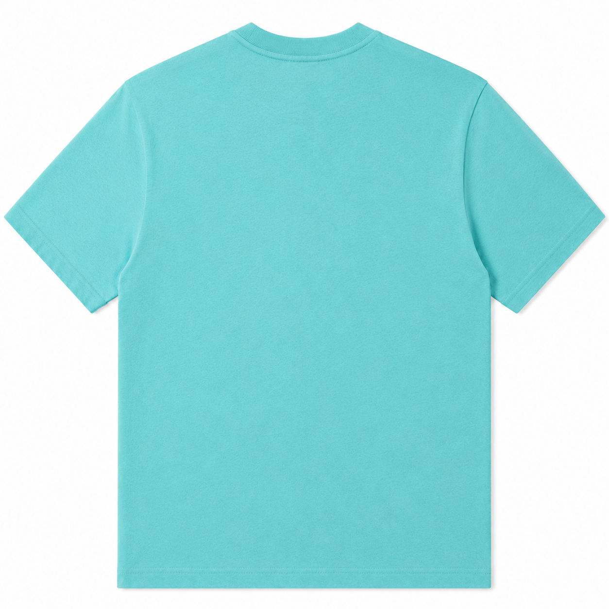 Back view of a light blue t-shirt on a white background