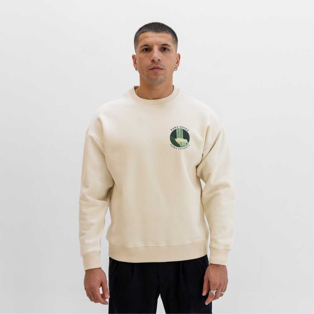 Man wearing a beige paradaiza sweatshirt with a logo on a white background